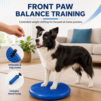 Inflatable Dog Balance Disc with Pump