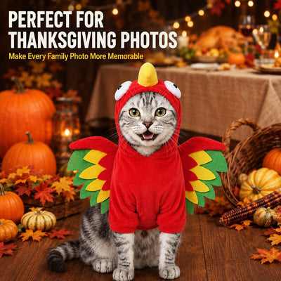 Turkey Bird Costume for Dogs & Cats with Hood & Wings