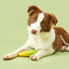 Veggie Bites Chew Dog Toy, Carrot & Corn