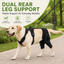 Dual Rear Leg Dog Brace with Harness for Weak Hind Legs