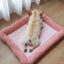 Cooling Pet Bed with Raised Bolster Edge