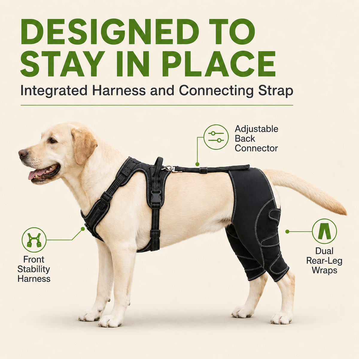 Dual Rear Leg Dog Brace with Harness for Weak Hind Legs