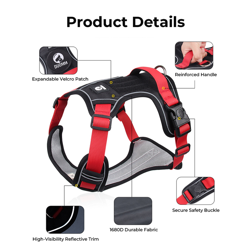 Reflective Heavy-Duty Dog Harness & Lead Set