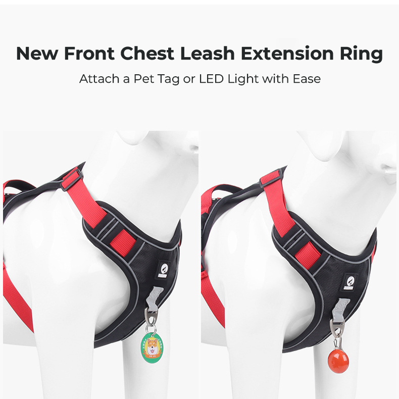 Reflective Heavy-Duty Dog Harness & Lead Set