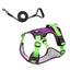 Reflective Heavy-Duty Dog Harness & Lead Set