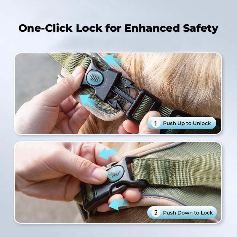Reflective Heavy-Duty Dog Harness & Lead Set