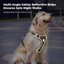 Reflective Heavy-Duty Dog Harness & Lead Set