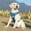 Reflective Heavy-Duty Dog Harness & Lead Set