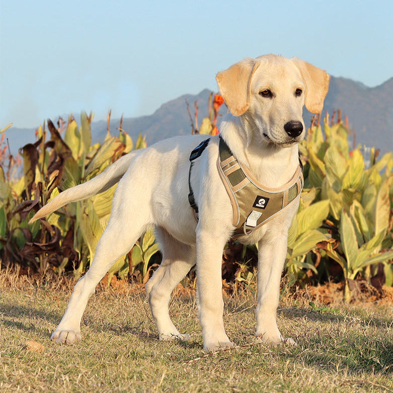 Reflective Heavy-Duty Dog Harness & Lead Set
