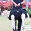 Mobility Support Backpack Harness for Large Dogs