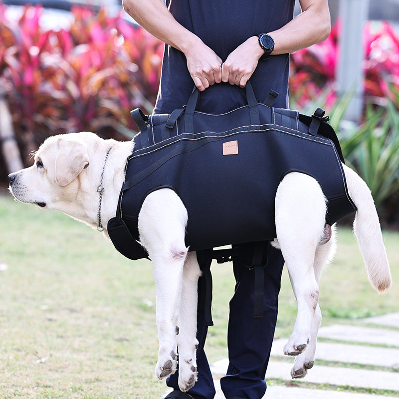 Mobility Support Backpack Harness for Large Dogs