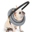 Halo Harness for Dogs with Obstacle Guard Ring