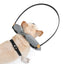 Halo Harness for Dogs with Obstacle Guard Ring