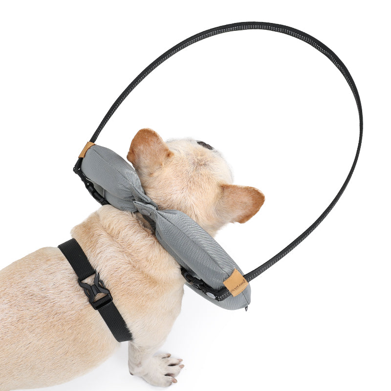 Halo Harness for Dogs with Obstacle Guard Ring