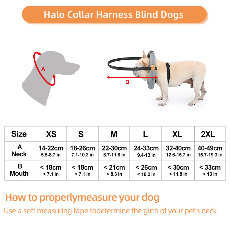 Halo Harness for Dogs with Obstacle Guard Ring