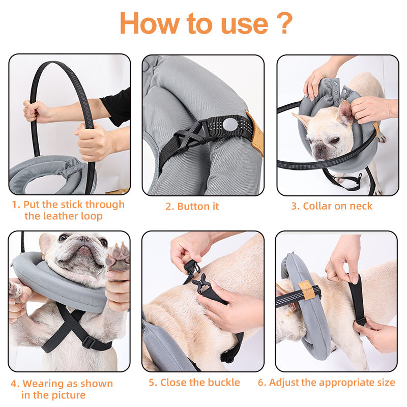 Halo Harness for Dogs with Obstacle Guard Ring