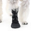 Protective Dog Paw Boot with Anti-Slip Sole