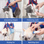 Mesh Pet Grooming Hammock for Cats & Small Dogs