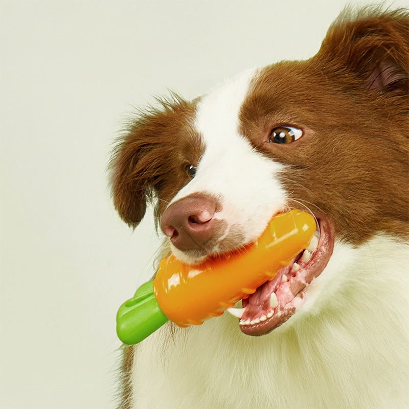 Veggie Bites Chew Dog Toy, Carrot & Corn
