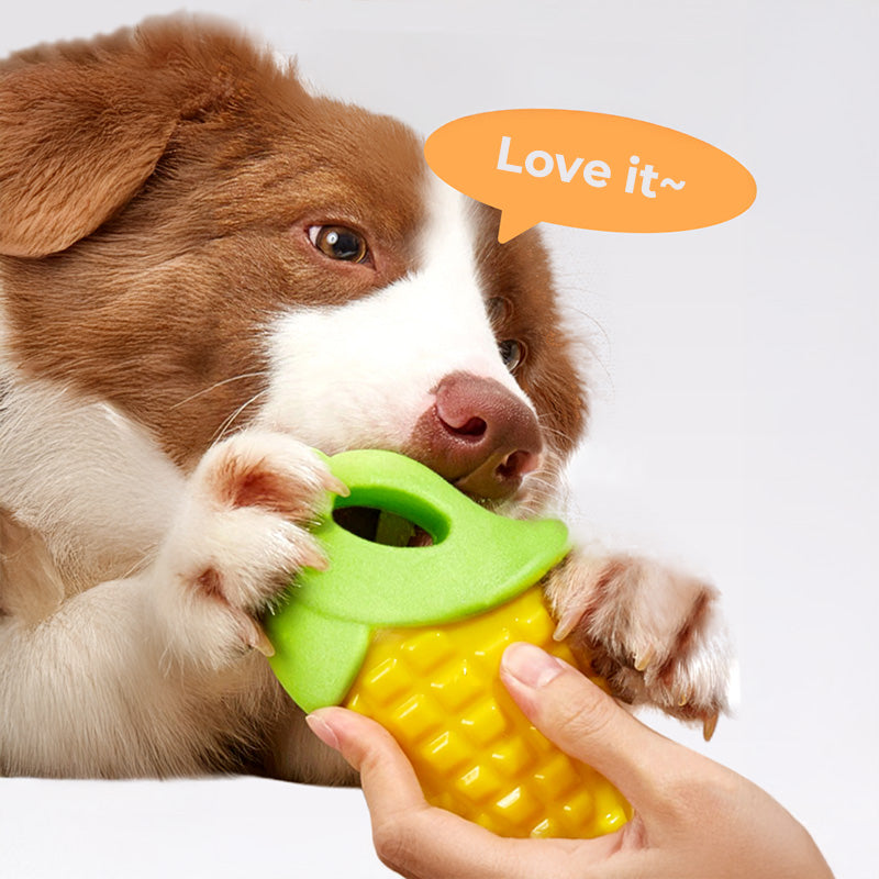 Veggie Bites Chew Dog Toy, Carrot & Corn