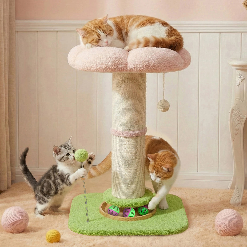 Flower Cat Scratching Post with Plush Bed
