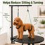Adjustable Dog Grooming Arm Kit for At-Home Grooming