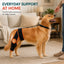 Dog Knee Brace with Collar Support Strap