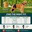 Dog Knee Brace with Collar Support Strap