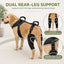 Full-Body Dog Lift Harness with Dual Rear-Leg Sleeves