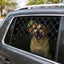 Expandable Dog Car Window Guard