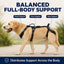 Full Body Dog Lift Harness for Stairs and Car