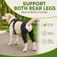 Dual Rear Leg Dog Brace with Harness for Weak Hind Legs