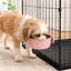 Crate-Mounted Stainless Steel Pet Bowl for Kennels