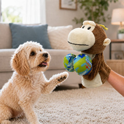 Interactive Boxing Puppet Toy for Dogs & Cats