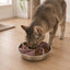 Cut-to-Fit Slow Feeder Insert & Steel Bowl Set