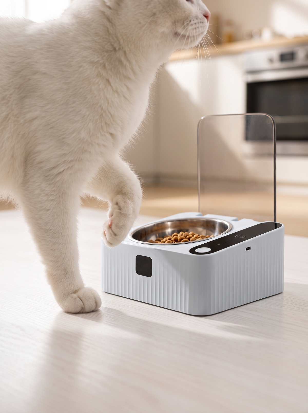 Cat approaching the covered bowl with the lid open