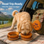 2-in-1 Collapsible Pet Travel Bowl for Walks and Road Trips