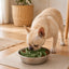 Cut-to-Fit Slow Feeder Insert & Steel Bowl Set