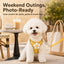 Daisy Pet Harness & Leash Set for Small Dogs & Cats