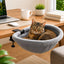 Desk-Mounted Clamp-On Cat Bed