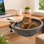 Desk-Mounted Clamp-On Cat Bed