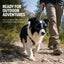 Photochromic Dog Goggles for Hiking and Car Rides