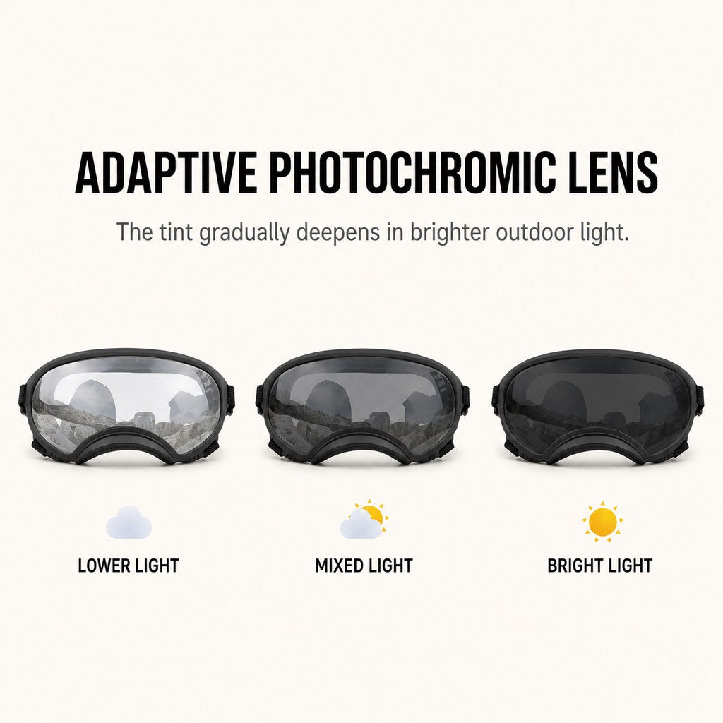 Photochromic Dog Goggles for Hiking and Car Rides