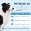 Photochromic Dog Goggles for Hiking and Car Rides