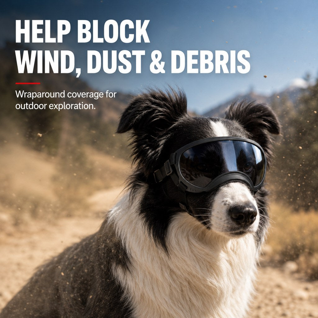 Photochromic Dog Goggles for Hiking and Car Rides