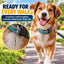 Dog ID Contact Capsule for Collars, 3-Pack