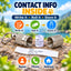 Dog ID Contact Capsule for Collars, 3-Pack