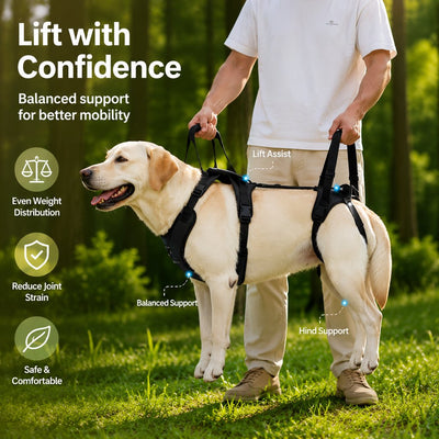 Full-Body Lift Harness for Large Dogs on Stairs & Ramps