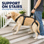 Full Body Dog Lift Harness for Stairs and Car