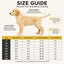 Full-Body Waterproof Dog Rain Suit for Muddy Walks